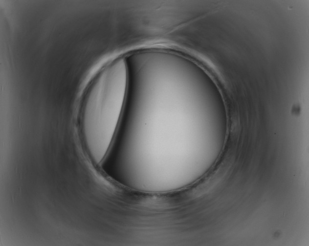 X0000101471414200807071208