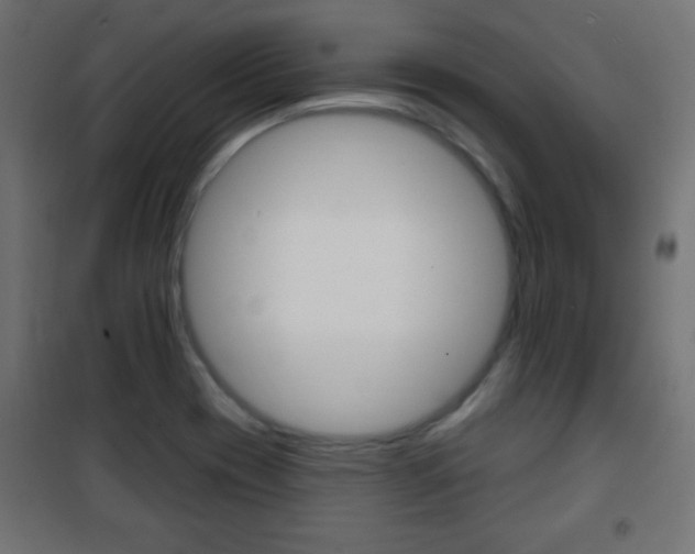 X0000101471417200807071208