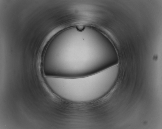 X0000101471418200807071208