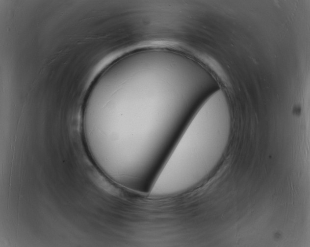 X0000101471420200807071208