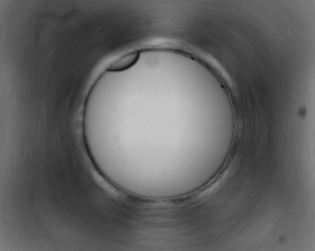 X0000101471421200807071208