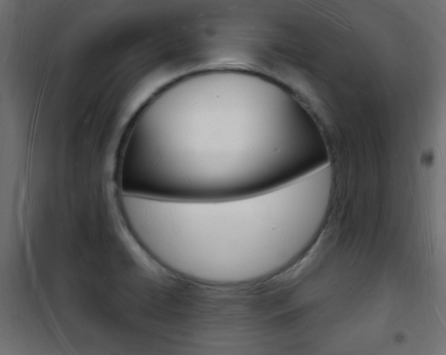 X0000101471422200807071208