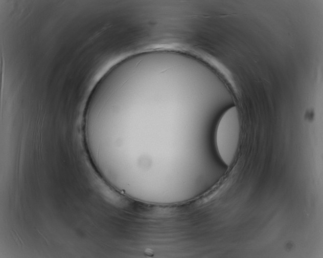 X0000101471423200807071208