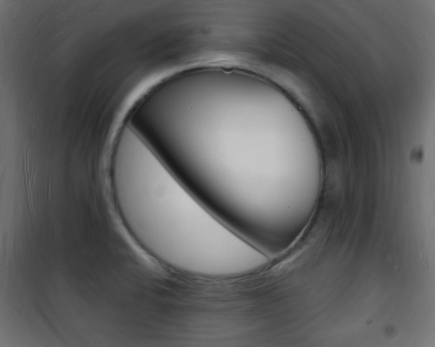 X0000101471424200807071208