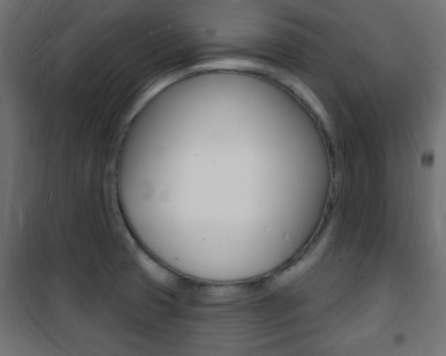 X0000101471425200807071208