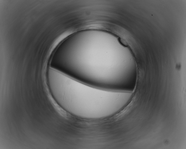 X0000101471426200807071208