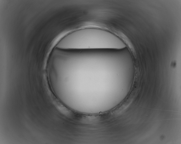X0000101471427200807071208