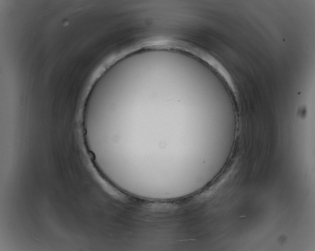 X0000101471429200807071208