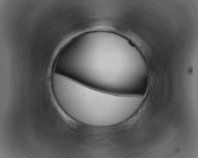 X0000101471430200807071208