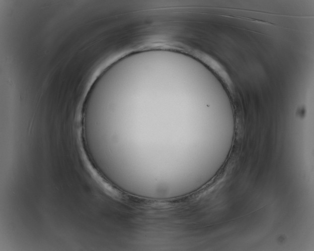 X0000101471431200807071208
