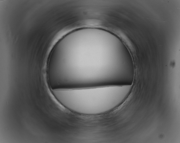 X0000101471432200807071208