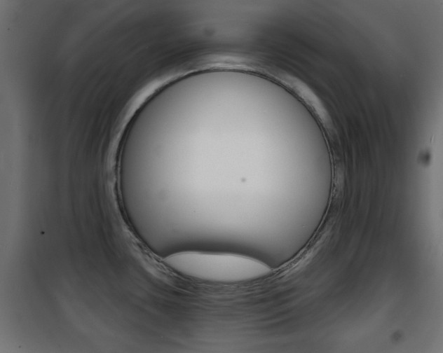 X0000101471435200807071208