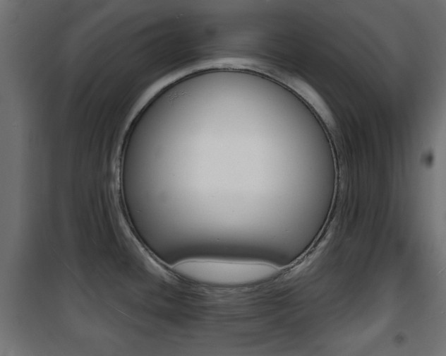 X0000101471436200807071208