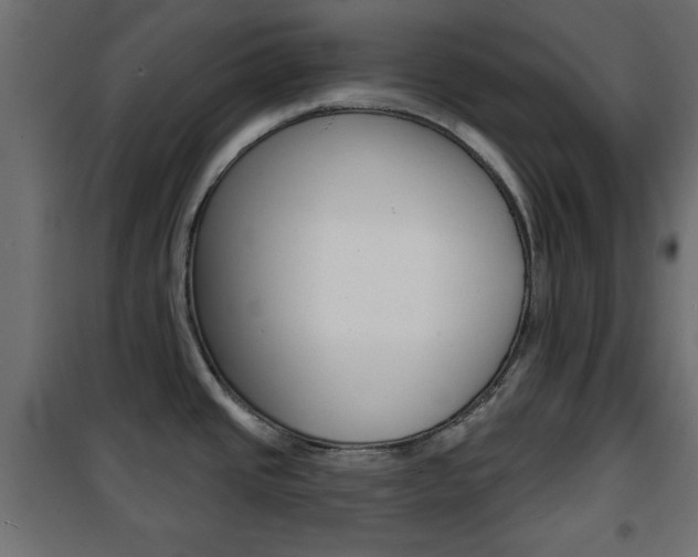 X0000101471437200807071208
