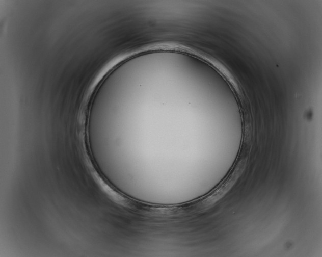 X0000101471438200807071208