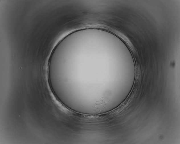 X0000101471439200807071208