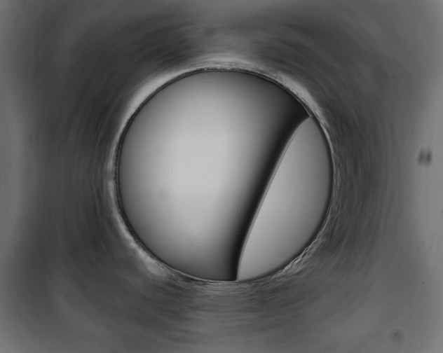 X0000101471440200807071208