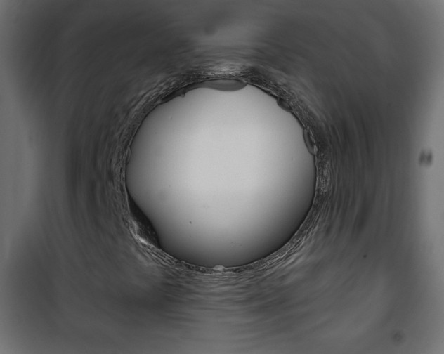 X0000101471441200807071208