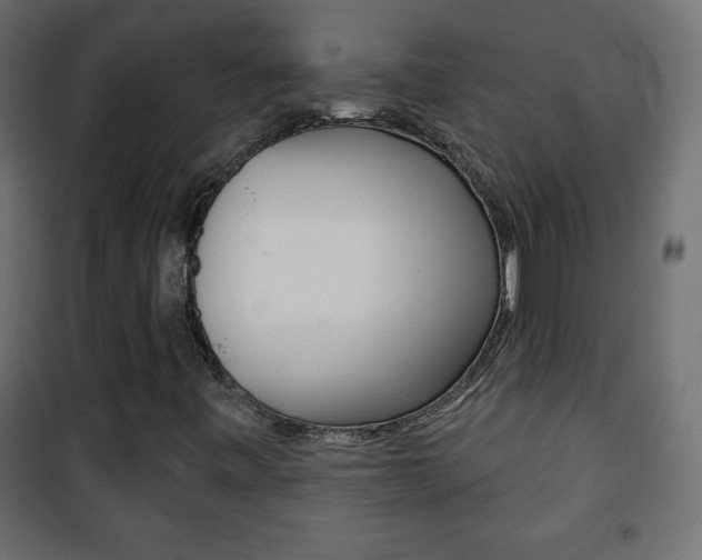 X0000101471443200807071208