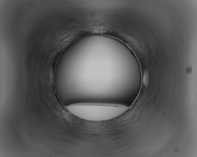 X0000101471444200807071208