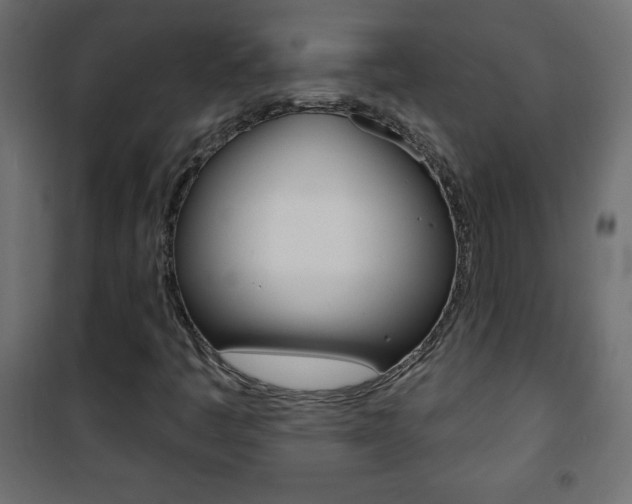 X0000101471445200807071208