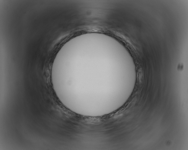 X0000101471446200807071208