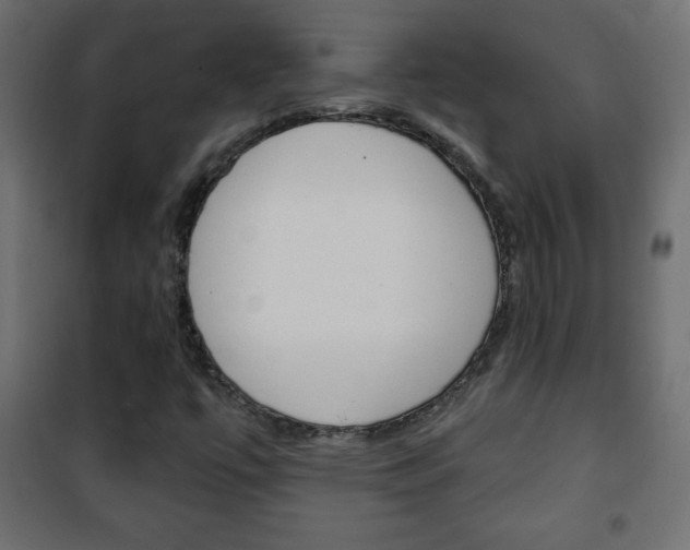 X0000101471447200807071208