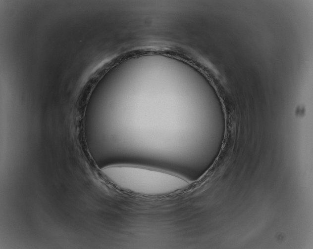 X0000101471448200807071208