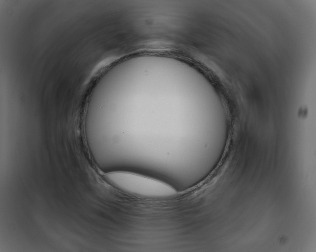 X0000101471451200807071208