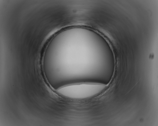 X0000101471452200807071208