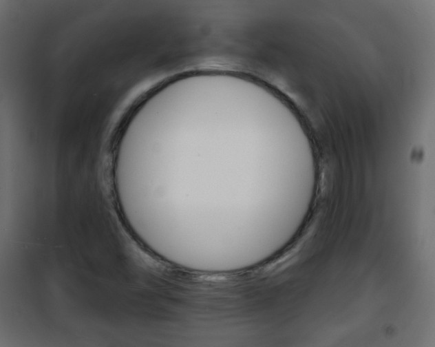 X0000101471454200807071208