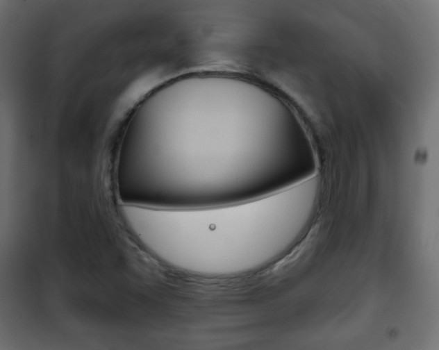 X0000101471455200807071208