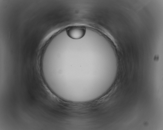 X0000101471456200807071208