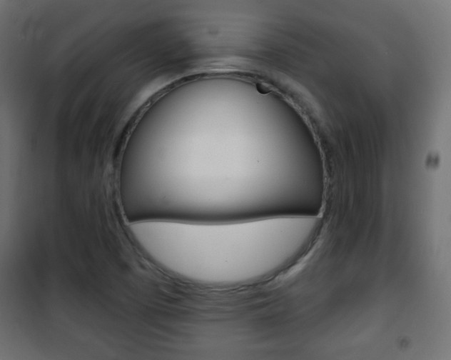 X0000101471457200807071207
