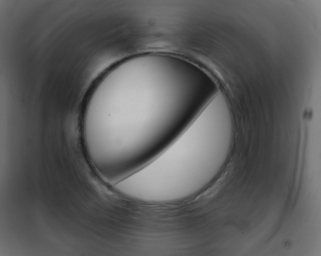 X0000101471458200807071207