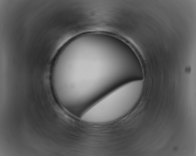 X0000101471460200807071207