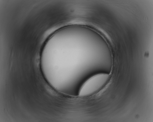 X0000101471461200807071207