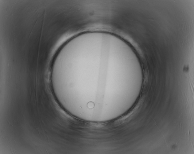 X0000101471462200807071207