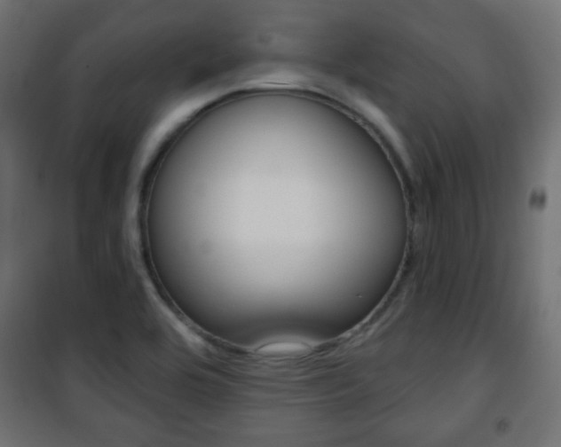 X0000101471464200807071207