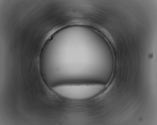 X0000101471465200807071207