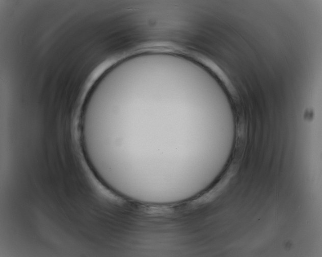 X0000101471466200807071207