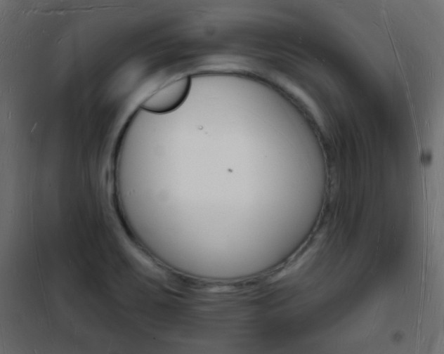 X0000101471467200807071207