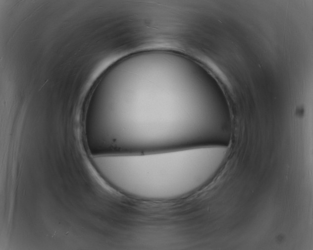 X0000101471468200807071207