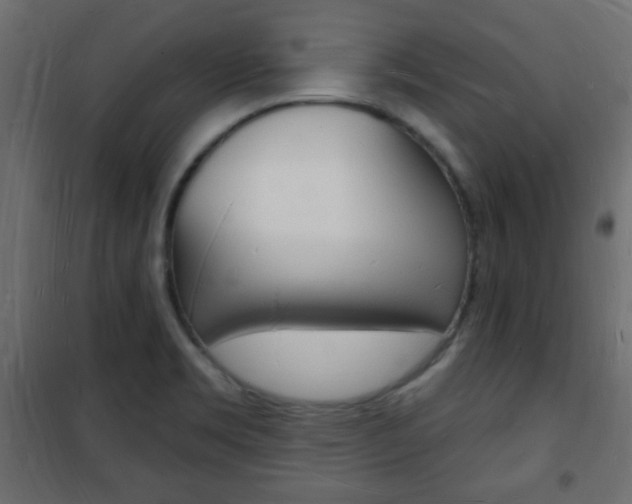 X0000101471469200807071207
