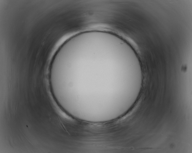 X0000101471470200807071207