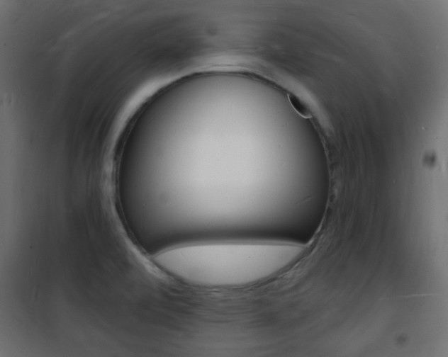 X0000101471472200807071207