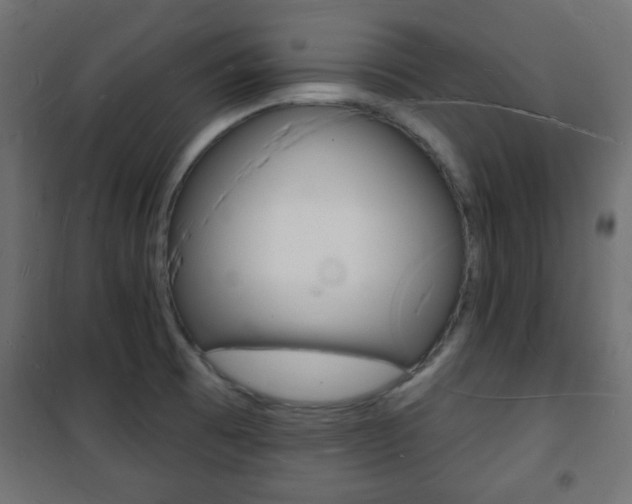X0000101471473200807071207