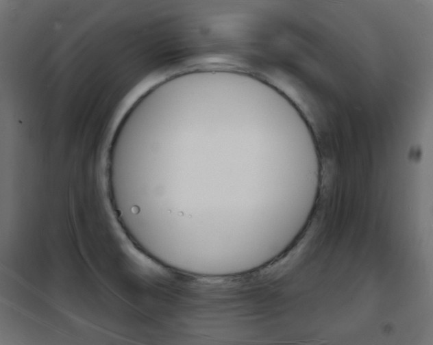X0000101471474200807071207
