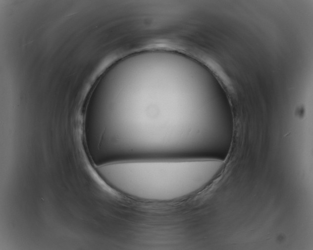 X0000101471476200807071207
