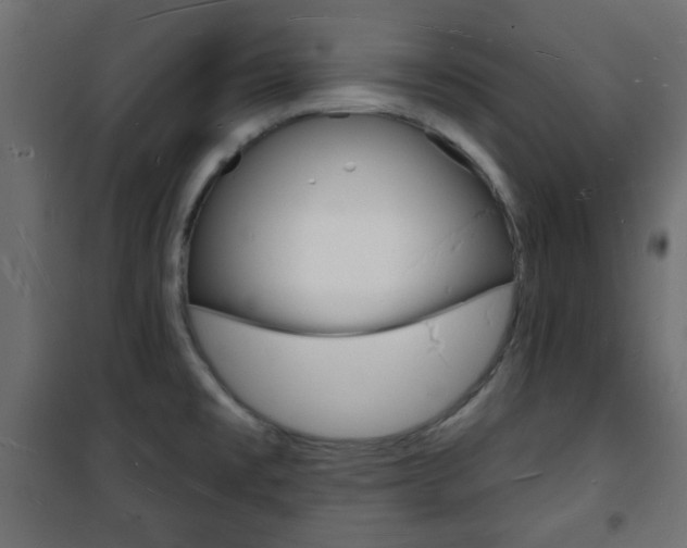 X0000101471477200807071207